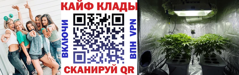 Что такое Микунь Кокаин Галлюциногенные грибы Бошки Шишки Гашиш Альфа ПВП