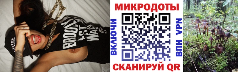 Галлюциногенные грибы Magic Shrooms  блэк спрут ТОР  Микунь  площадка формула  купить  